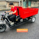 Xe điện ba bánh có thành tải 500kg - 600kg