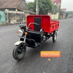 Xe điện ba bánh có thành tải 500kg - 600kg