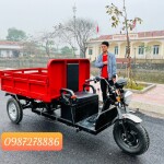 Xe điện ba bánh có thành tải 500kg - 600kg