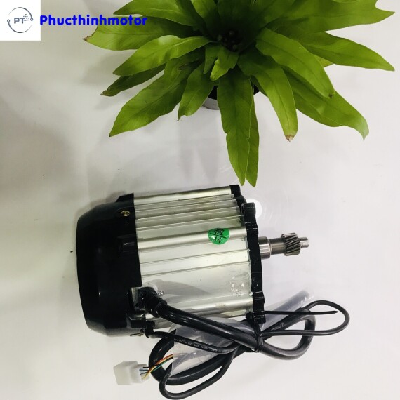 https://xedienphucthinh.com/public/product/motor-gan-cau-48v60v1500w