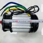 Động cơ không chổi than 48V/60V-1500W