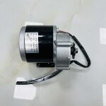 Động cơ chổi than 12V 350W