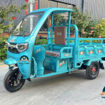 Xe 3 bánh điện có mái tải trọng 5 tạ cao cấp